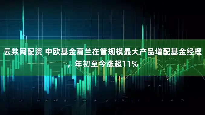 云燚网配资 中欧基金葛兰在管规模最大产品增配基金经理，年初至今涨超11%