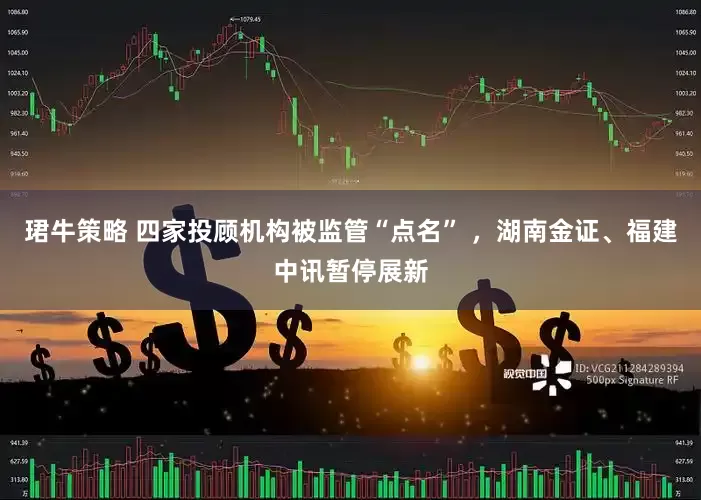 珺牛策略 四家投顾机构被监管“点名” ，湖南金证、福建中讯暂停展新